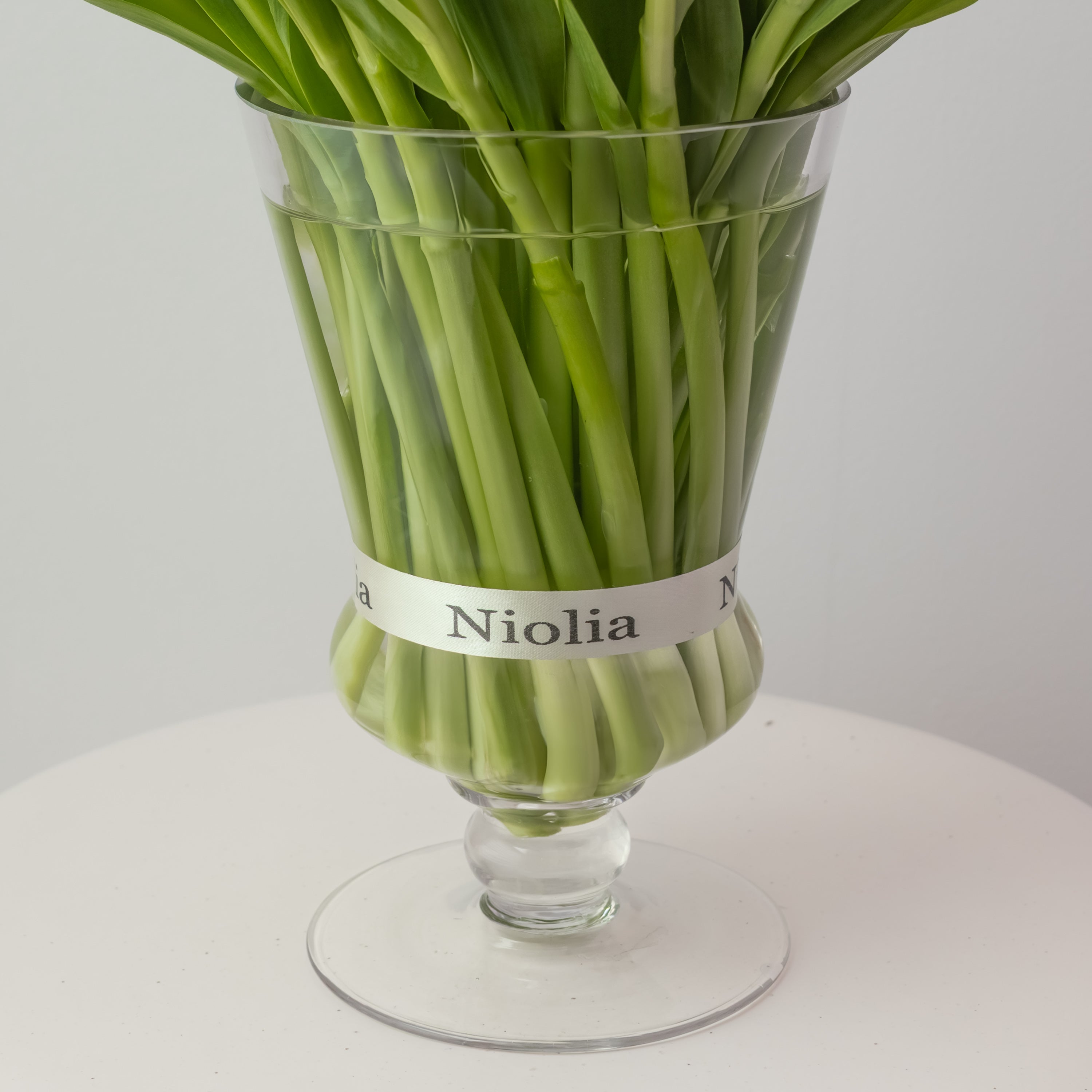 Maison Tulips in Red