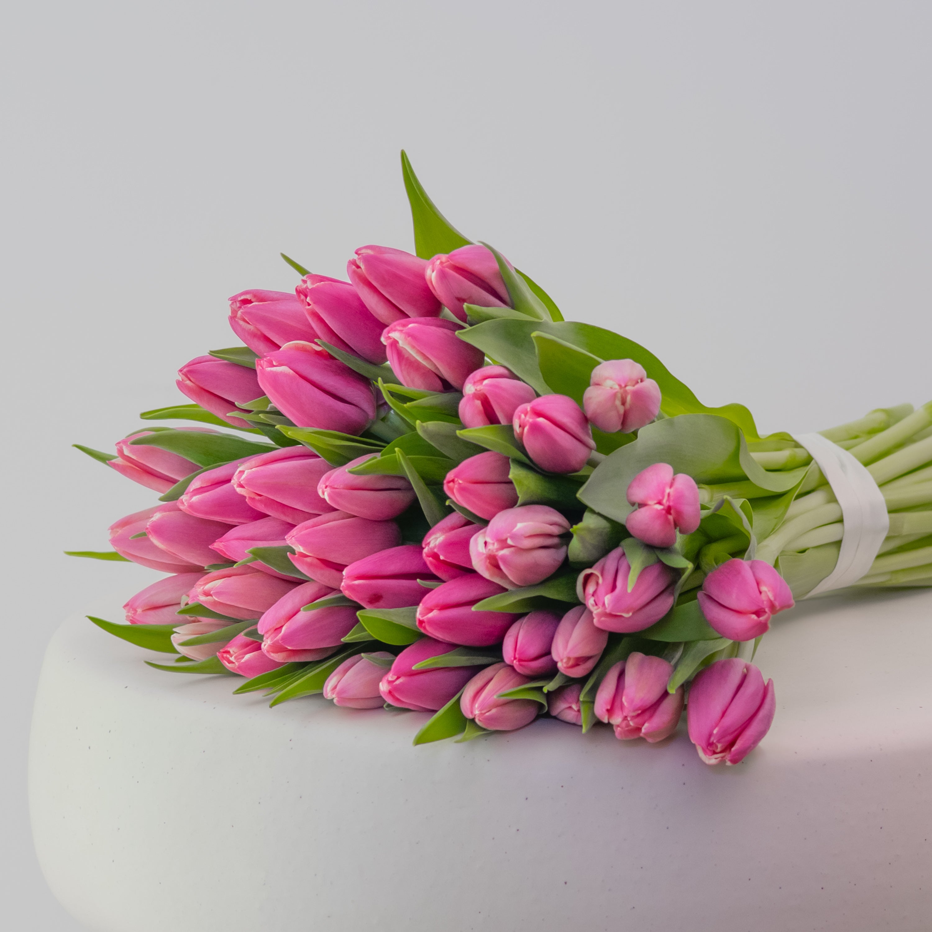 Premium Tulip Bunch | 20–200 Stems