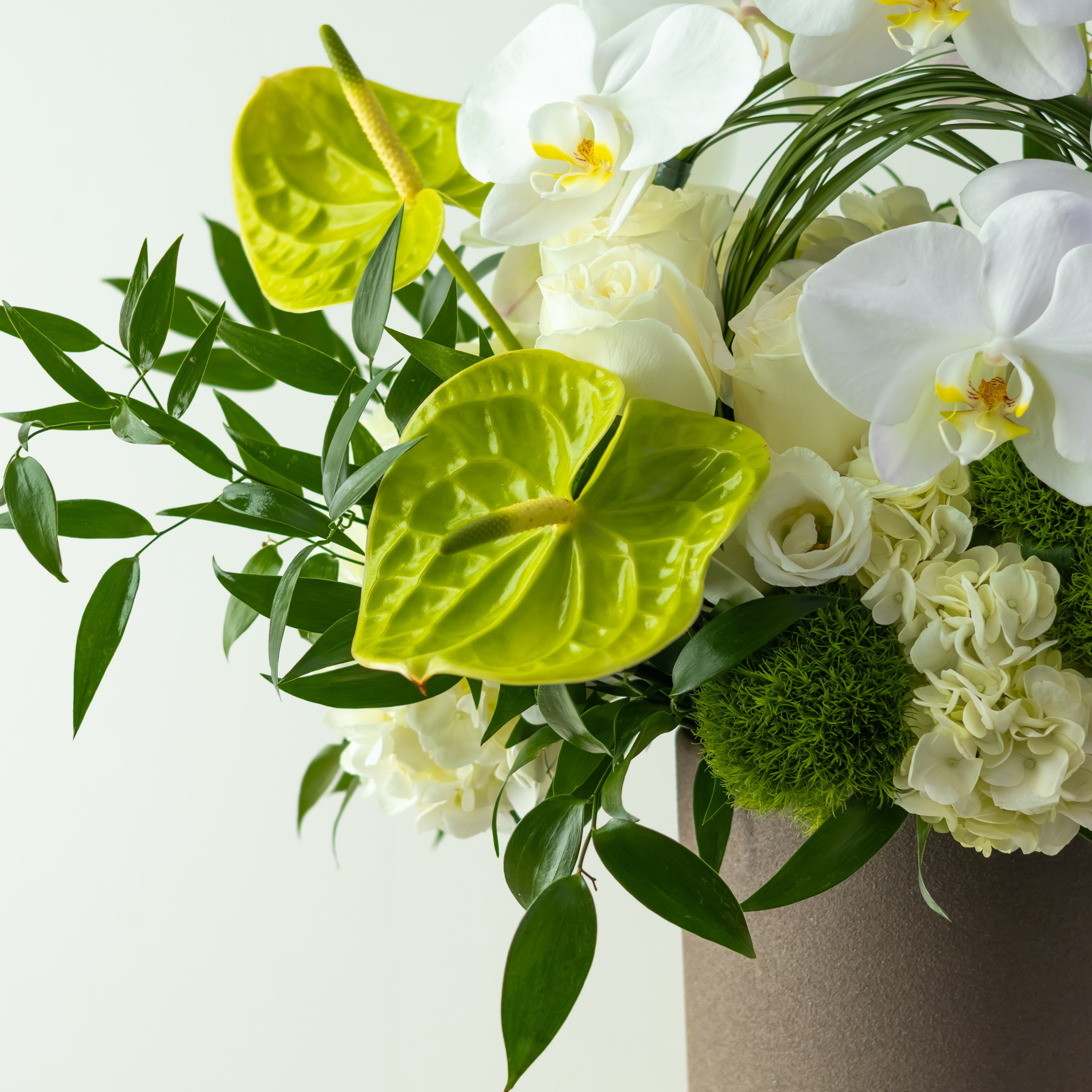 Earth & Light