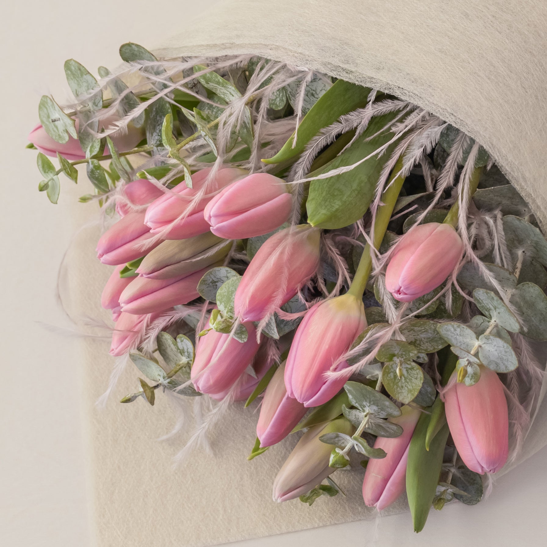 Pink Cashmere