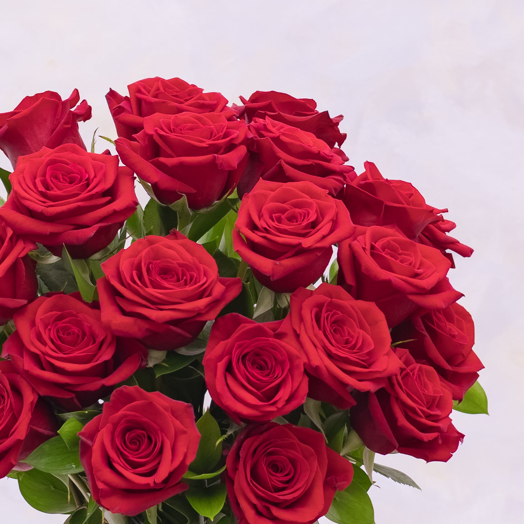 This timeless arrangement features two dozen premium red roses. Styled in Niolia’s refined classic aesthetic. Available for same-day flower delivery in San Francisco and surrounding Bay Area cities.