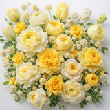 Cream & Yellow Designer’s Choice